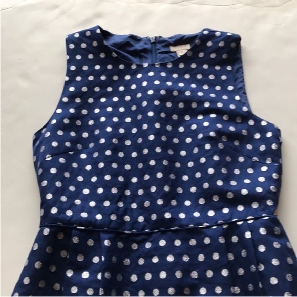 J. Crew Silver Dot Dress - Picture 4 of 12